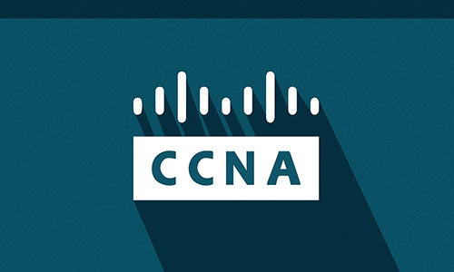 ccna salary