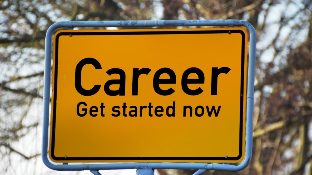 careers path