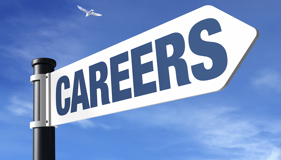 Support IT Careers