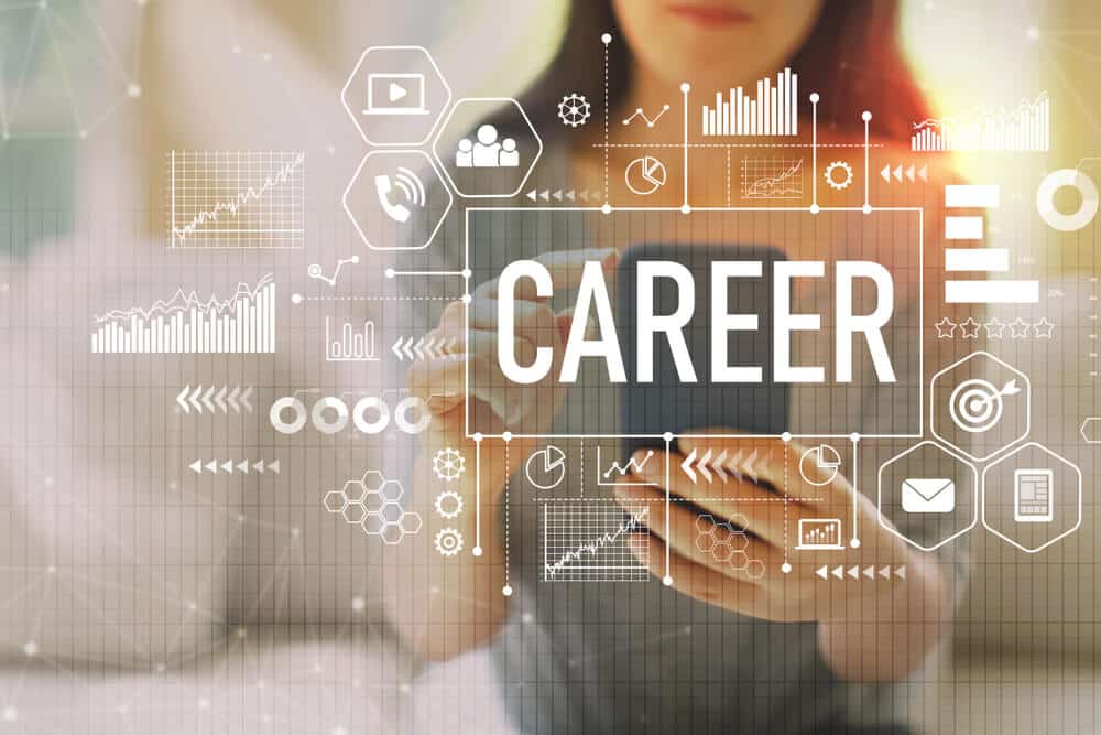 IT Career